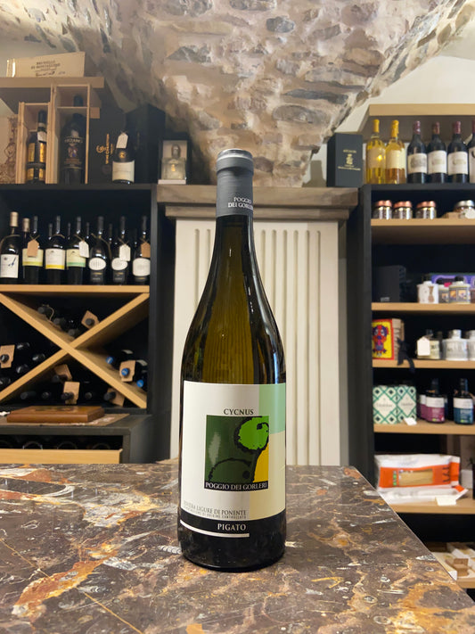 Pigato Cycnus 2023 - Poggio dei Gorleri