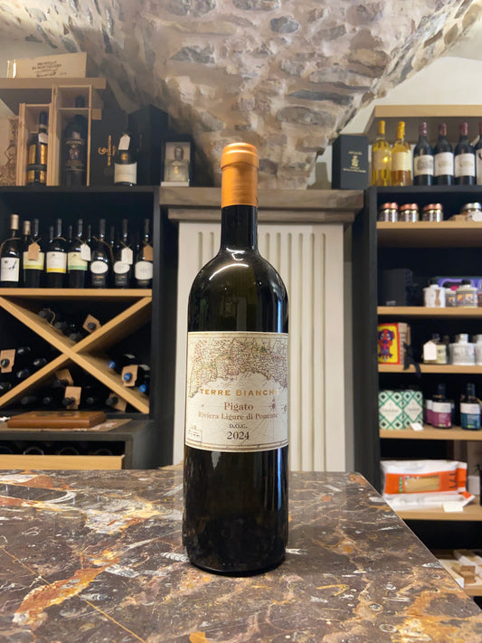 Pigato 2024 - Terre Bianche